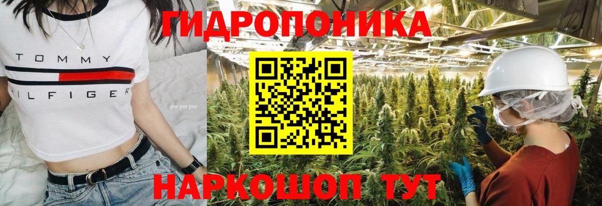 Бошки марихуана планчик  Бошки марихуана LSD WEED  Бошки марихуана гибрид  Вход с VPN  Киржач  Шишки марихуана конопля 